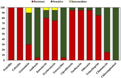 Antibiotic potentiating effect of Bauhinia purpurea L. against multidrug resistant Staphylococcus aureus